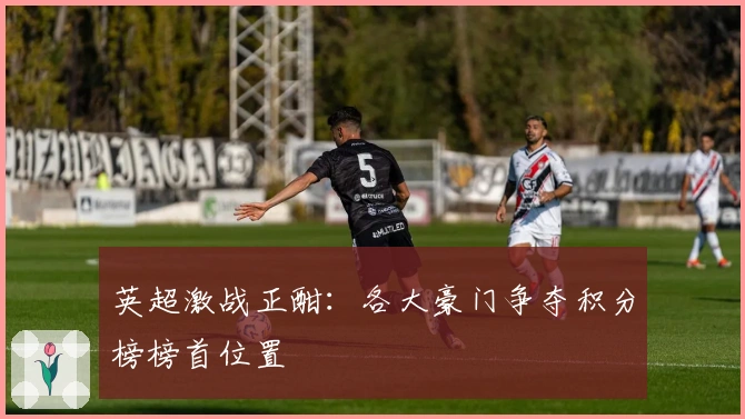 英超激战正酣：各大豪门争夺积分榜榜首位置